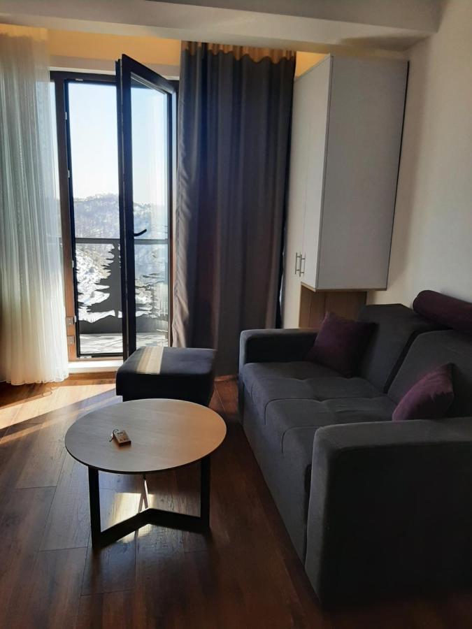 Vihor A21 Apartment Копаоник Екстериор снимка